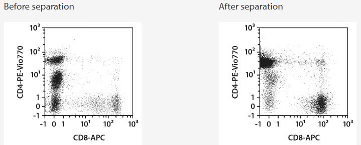 Separation of a Leukopak sample using the StraightFrom Leukopak CD4/CD8 MicroBead Kit and the MultiMACS Cell24 Separator Plus with the Multi-24 Column Blocks. Cells were fluorescently stained with REAfinity Antibodies CD4-PE-Vio 770, CD8-APC, as well as CD45-VioBlue and analyzed by flow cytometry using the MACSQuant Analyzer. Viable leukocytes were gated for analysis based on scatter signals, propidium iodide fluorescence, and CD45 expression.